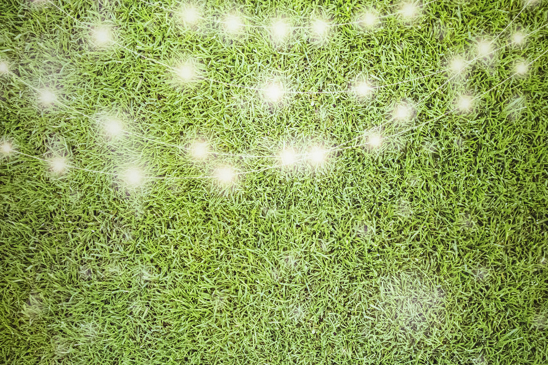 Grass Fabric Backdrop